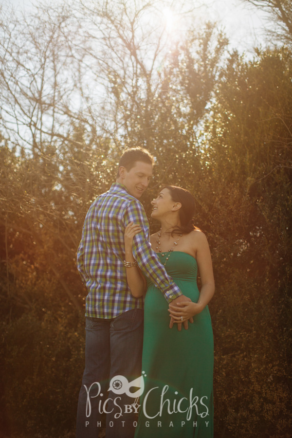 Pittsburgh Maternity Photographer, Beaver PA Maternity Photographer, Hartwood Acres photographer, Pittsburgh Family Photographer