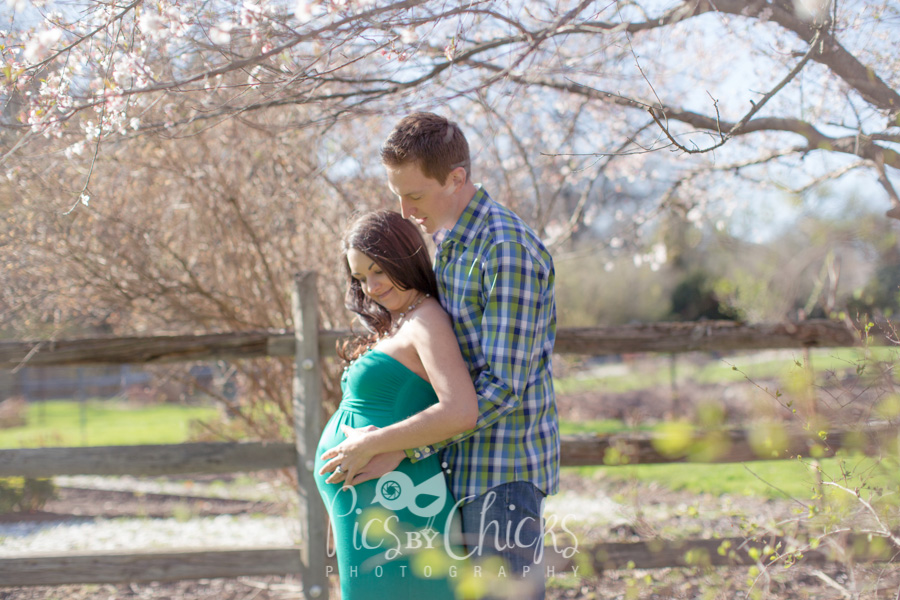 Pittsburgh Maternity Photographer, Beaver PA Maternity Photographer, Hartwood Acres photographer, Pittsburgh Family Photographer