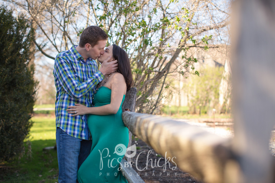 Pittsburgh Maternity Photographer, Beaver PA Maternity Photographer, Hartwood Acres photographer, Pittsburgh Family Photographer