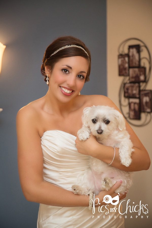 Pittsburgh Wedding Photographer Pittsburgh Wedding Photographer, Pics By Chicks, Cranberry Wedding Photographer, Beaver PA Wedding Photographer, Warrendale Wedding Photographer, Wexford Wedding Photographer, New Kensington Wedding Photographer, decent priced wedding photographer in pittsburgh, bride and dog photo ideas