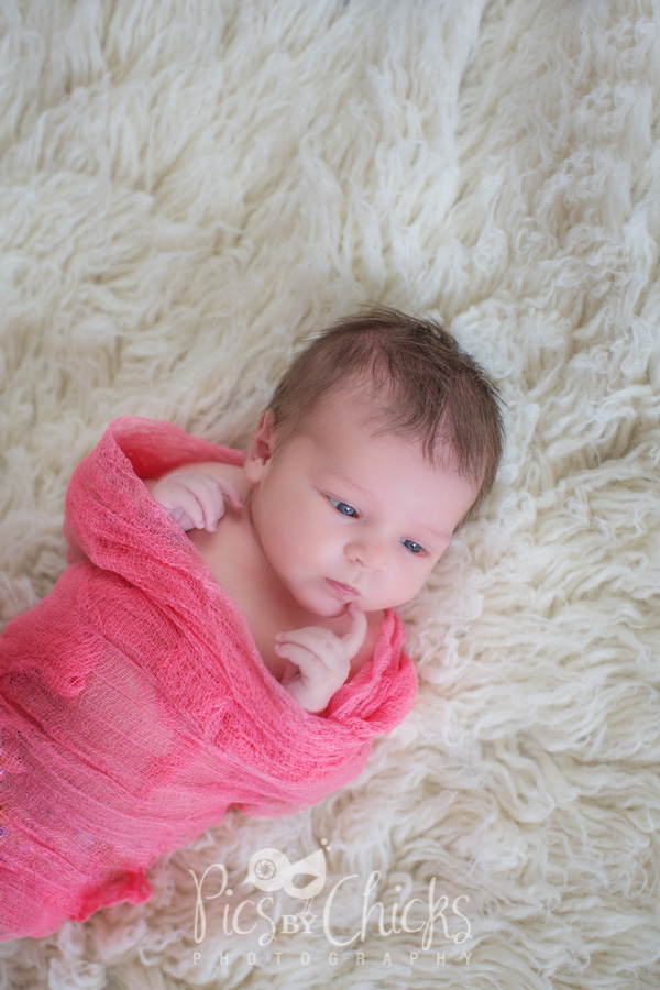 Pittsburgh Lifestyle Newborn Photographer Pittsburgh Lifestyle Newborn Photographer