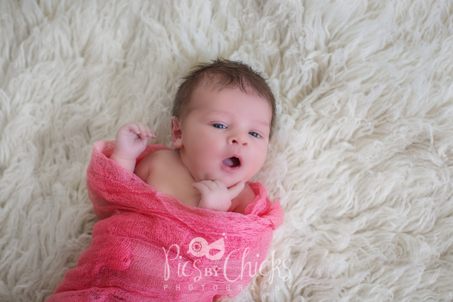 Pittsburgh Lifestyle Newborn Photographer Pittsburgh Lifestyle Newborn Photographer