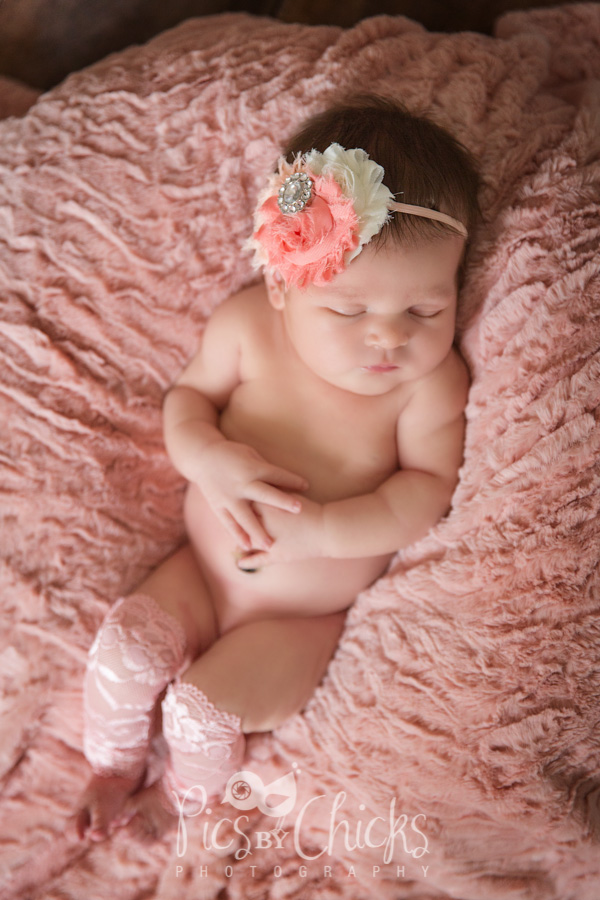 Pittsburgh Lifestyle Newborn Photographer Pittsburgh Lifestyle Newborn Photographer
