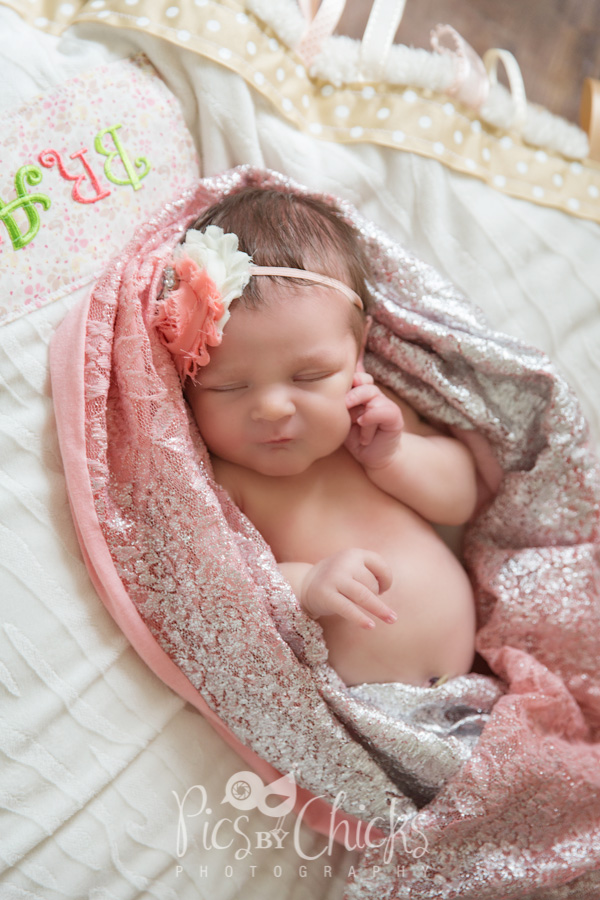 Pittsburgh Lifestyle Newborn Photographer Pittsburgh Lifestyle Newborn Photographer