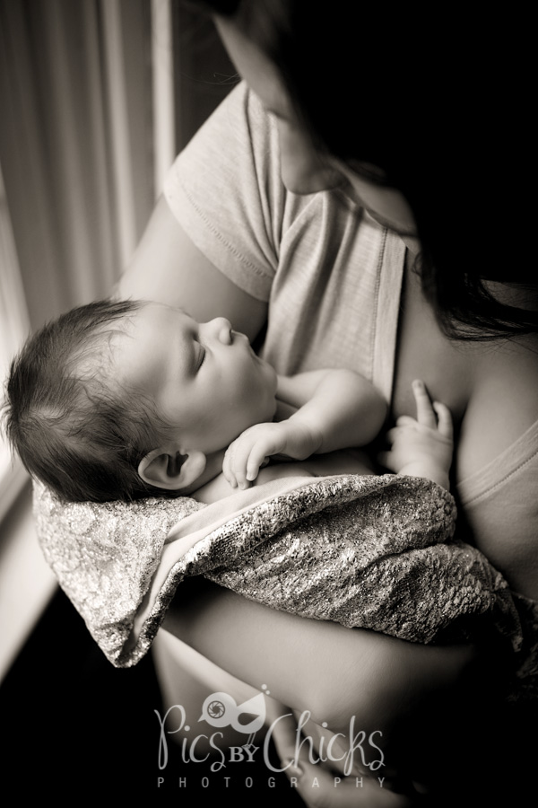 Pittsburgh Lifestyle Newborn Photographer Pittsburgh Lifestyle Newborn Photographer
