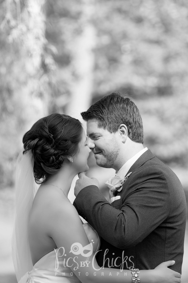 Pittsburgh Wedding Photographer Pittsburgh Wedding Photographer, Pics By Chicks, Cranberry Wedding Photographer, Beaver PA Wedding Photographer, Warrendale Wedding Photographer, Wexford Wedding Photographer, New Kensington Wedding Photographer, decent priced wedding photographer in pittsburgh, Brush Creek Wedding Photographer, Brush Creek Park Wedding Photographer, Brush Creek Wedding Photos, Brush Creek Park Wedding Photos