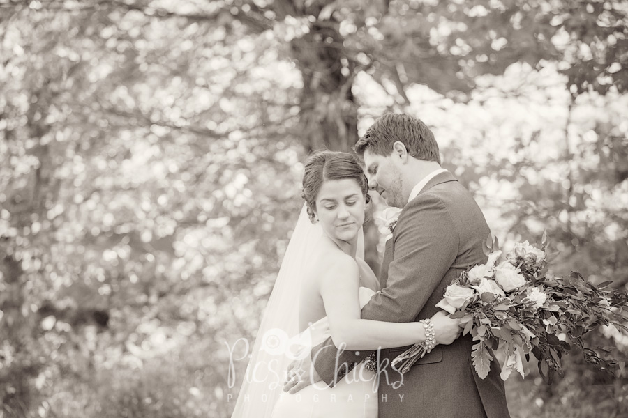 Pittsburgh Wedding Photographer Pittsburgh Wedding Photographer, Pics By Chicks, Cranberry Wedding Photographer, Beaver PA Wedding Photographer, Warrendale Wedding Photographer, Wexford Wedding Photographer, New Kensington Wedding Photographer, decent priced wedding photographer in pittsburgh, Brush Creek Wedding Photographer, Brush Creek Park Wedding Photographer, Brush Creek Wedding Photos, Brush Creek Park Wedding Photos