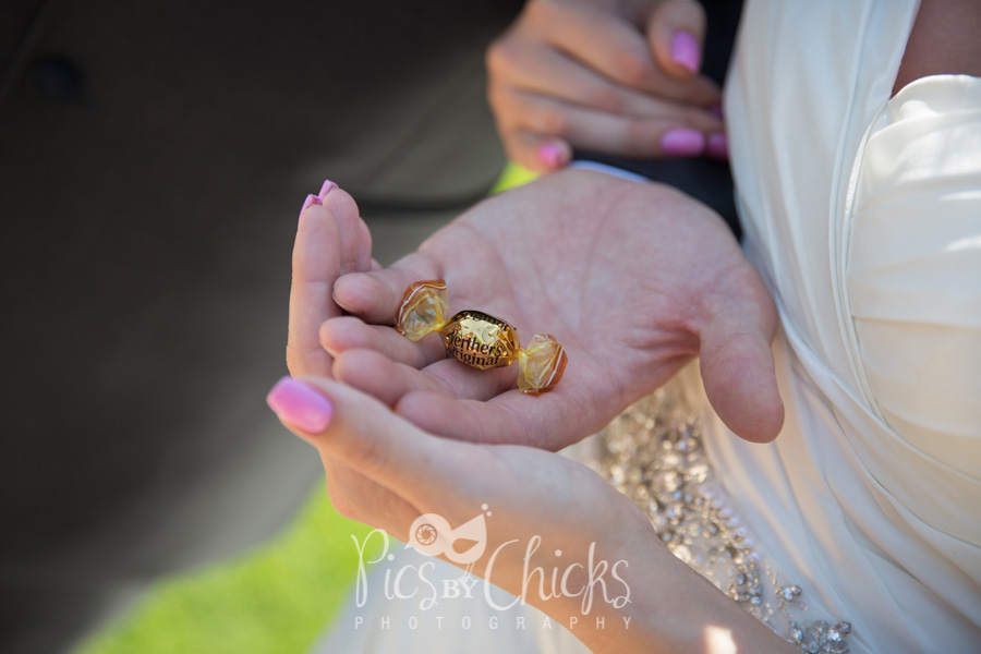 Pittsburgh Wedding Photographer, Pics By Chicks, Cranberry Wedding Photographer, Beaver PA Wedding Photographer, Warrendale Wedding Photographer, Wexford Wedding Photographer, New Kensington Wedding Photographer, decent priced wedding photographer in pittsburgh, Edgeworth Club wedding photo, edge worth club wedding photographer, hardwood acres wedding photo, hardwood acres wedding photographer