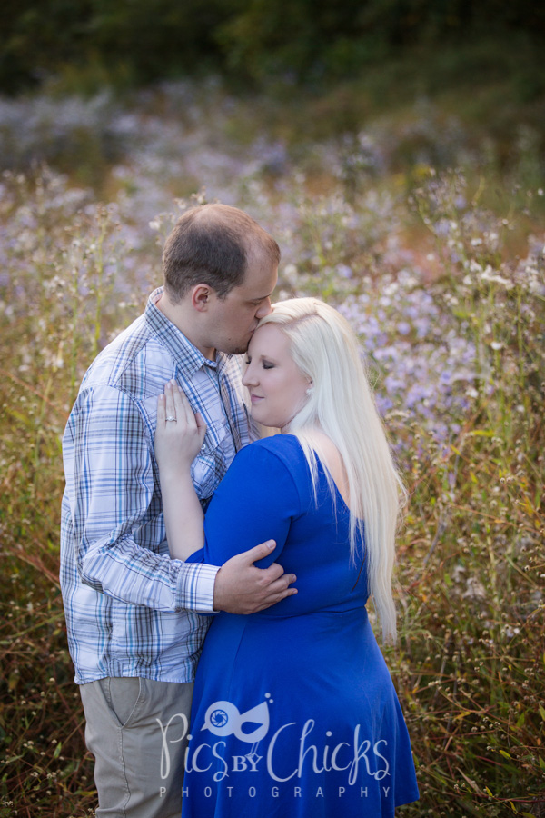 Pittsburgh Wedding Photographer, Pittsburgh Engagement Photographer