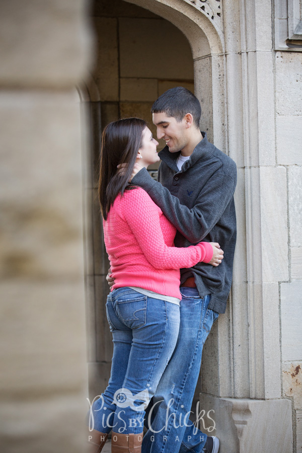 Hartwood Acres wedding engagement photographer, pics by chicks, pics by chicks photography, pittsburgh wedding photographer, pittsburgh engagement photographer Hartwood Acres wedding engagement photographer, pics by chicks, pics by chicks photography, pittsburgh wedding photographer, pittsburgh engagement photographer