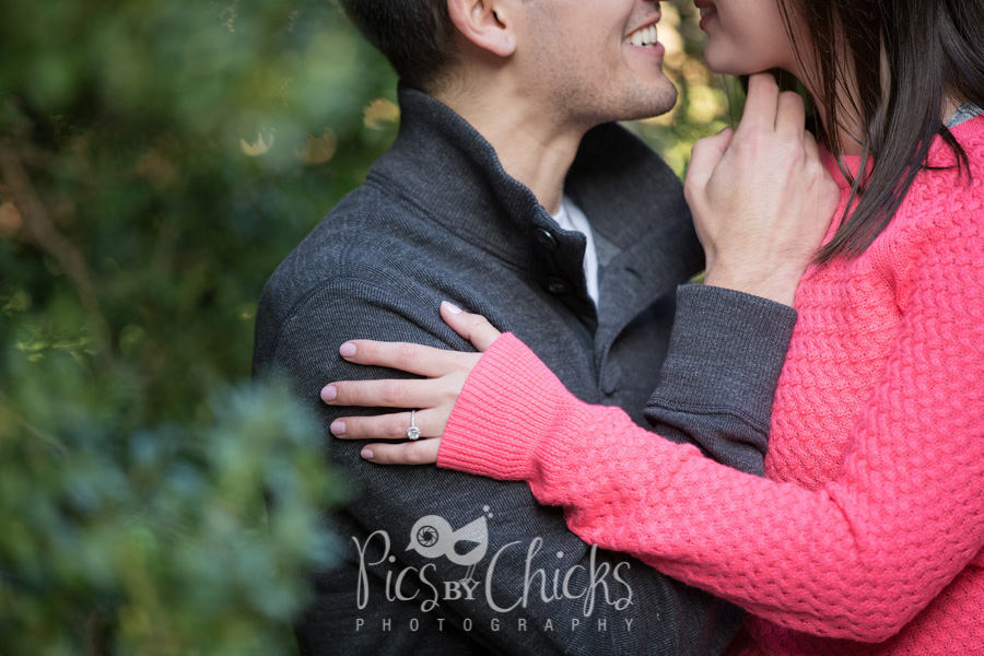 Hartwood Acres wedding engagement photographer, pics by chicks, pics by chicks photography, pittsburgh wedding photographer, pittsburgh engagement photographer Hartwood Acres wedding engagement photographer, pics by chicks, pics by chicks photography, pittsburgh wedding photographer, pittsburgh engagement photographer