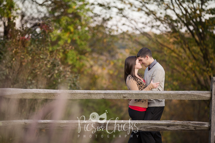 Hartwood Acres wedding engagement photographer, pics by chicks, pics by chicks photography, pittsburgh wedding photographer, pittsburgh engagement photographer Hartwood Acres wedding engagement photographer, pics by chicks, pics by chicks photography, pittsburgh wedding photographer, pittsburgh engagement photographer