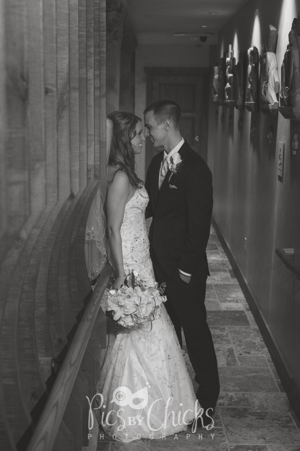 Pittsburgh Wedding Photographer, Pics By Chicks, Cranberry Wedding Photographer, Beaver PA Wedding Photographer, Warrendale Wedding Photographer, Wexford Wedding Photographer, New Kensington Wedding Photographer, decent priced wedding photographer in pittsburgh, Edgeworth Club wedding photo, edge worth club wedding photographer, hartwood acres wedding photo, hartwood acres wedding photographer, pittsburgh wedding photo, clemente bridge wedding photo, clemente bridge,  classic pittsburgh photo, station square wedding photo, sheraton wedding photo