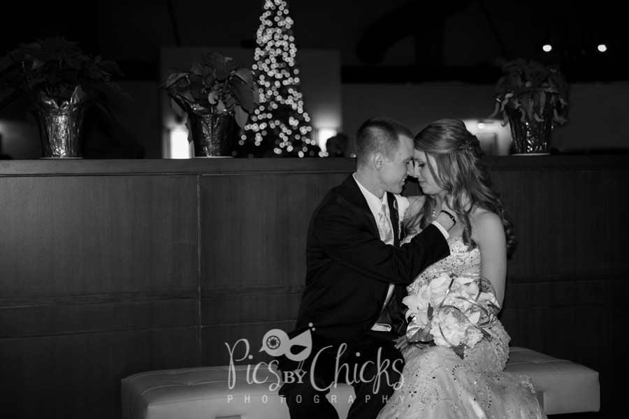 Pittsburgh Wedding Photographer, Pics By Chicks, Cranberry Wedding Photographer, Beaver PA Wedding Photographer, Warrendale Wedding Photographer, Wexford Wedding Photographer, New Kensington Wedding Photographer, decent priced wedding photographer in pittsburgh, Edgeworth Club wedding photo, edge worth club wedding photographer, hartwood acres wedding photo, hartwood acres wedding photographer, pittsburgh wedding photo, clemente bridge wedding photo, clemente bridge,  classic pittsburgh photo, station square wedding photo, sheraton wedding photo