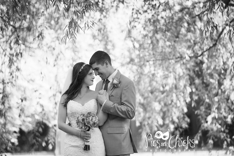 black and white wedding photo in willow tree