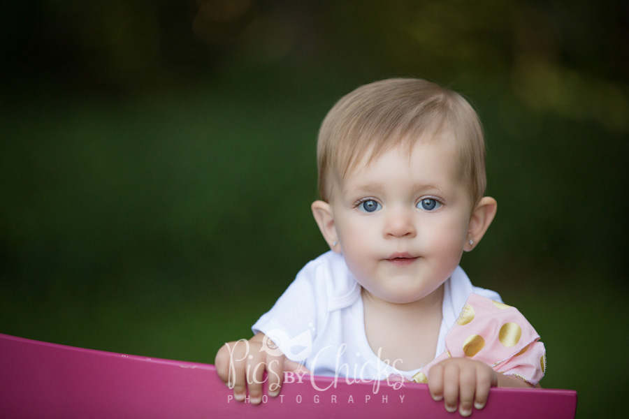 pittsburgh children photographer pittsburgh children photographer