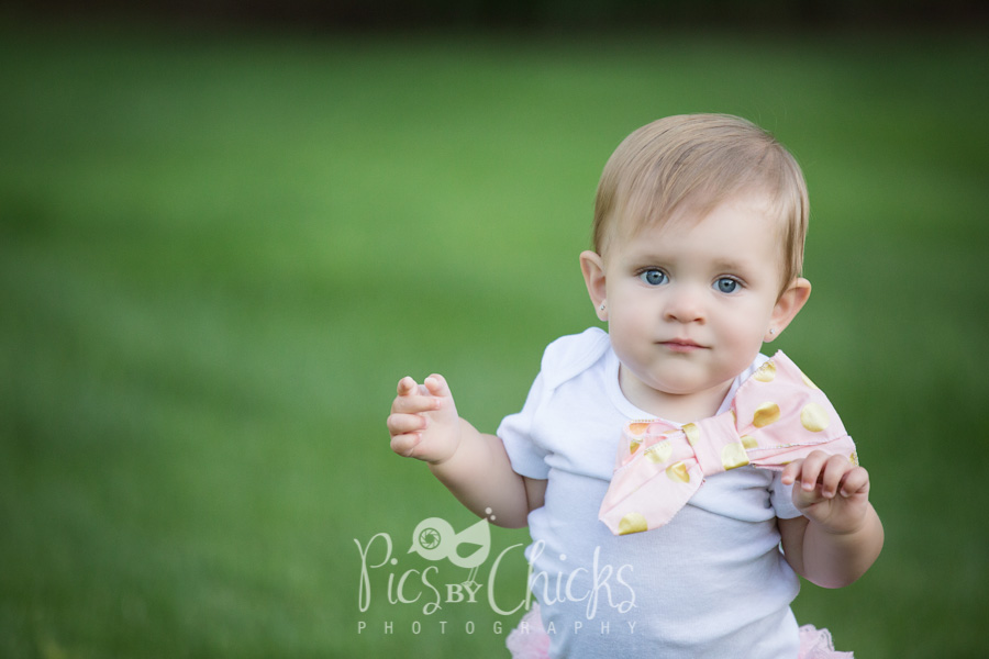 gibsonia children photographer gibsonia children photographer
