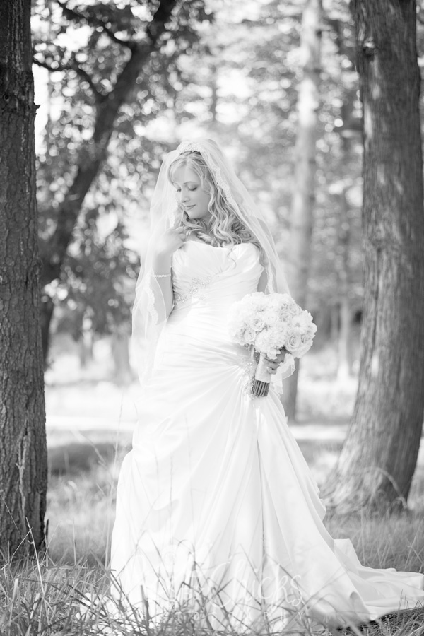 bridal portrait wedding photo bridal portrait wedding photo