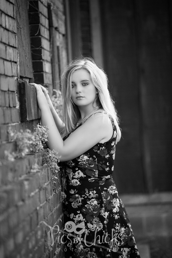 beaver county senior photographer beaver county senior photographer