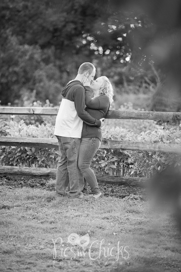 pittsburgh engagement photos at hartwood acres pittsburgh engagement photos at hartwood acres