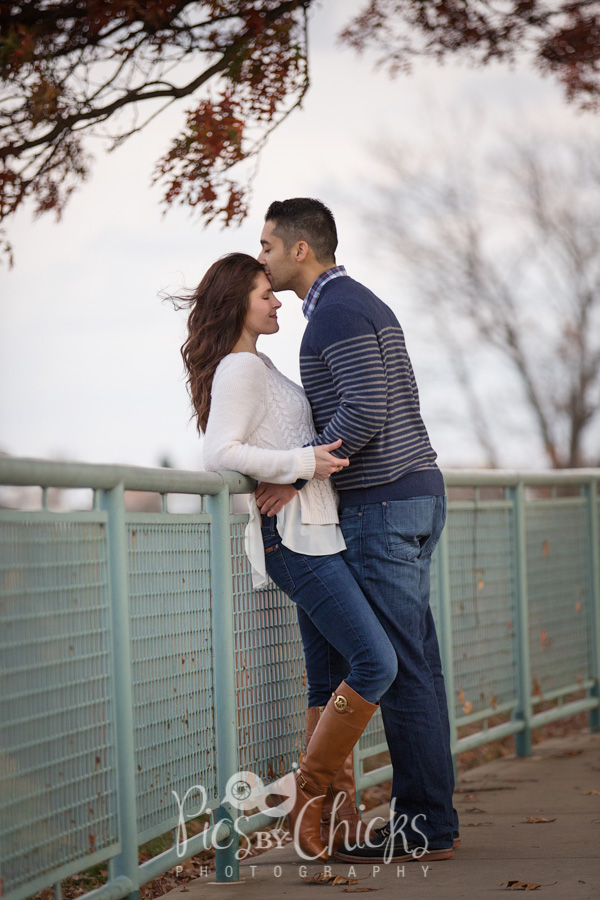 beaver county engagement photos beaver county engagement photos
