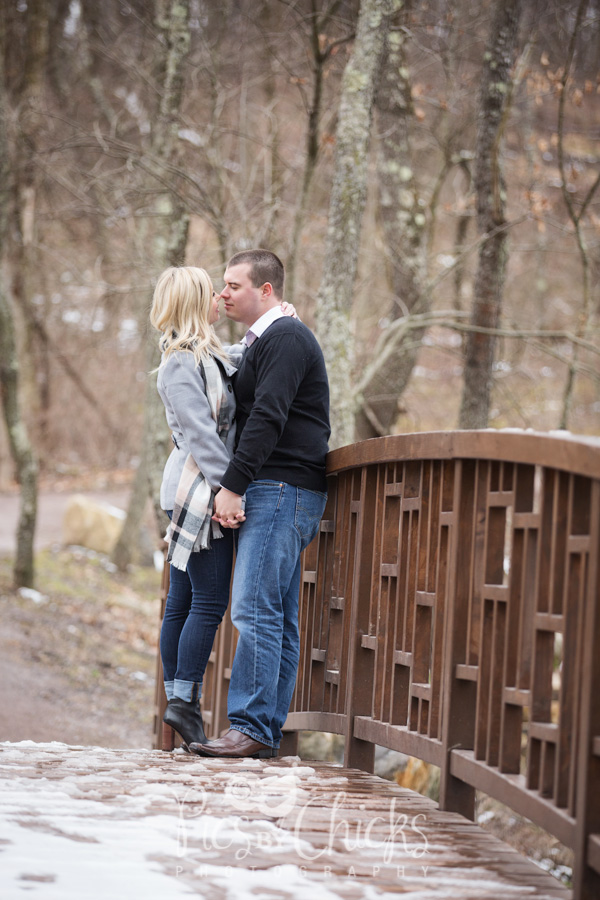 pittsburgh botanic garden wedding engagement photo pittsburgh botanic garden wedding engagement photo