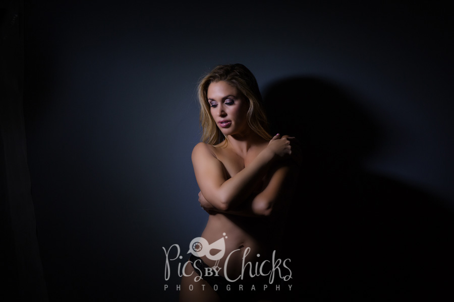 boudoir photo session in pittsburgh photo sample boudoir photo session in pittsburgh photo sample