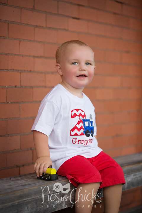 Pittsburgh Children's Photographer - Grayson Turns 2